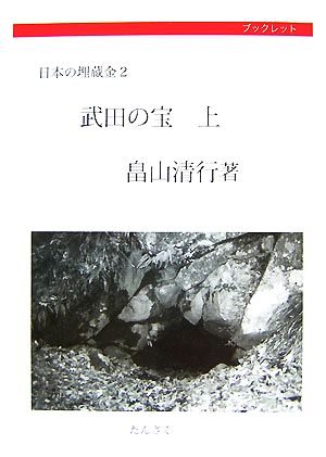 武田の宝(上) 日本の埋蔵金2