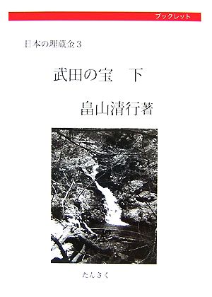 武田の宝(下) 日本の埋蔵金3