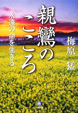 親鸞のこころ 永遠の命を生きる 小学館文庫