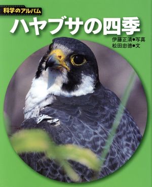 ハヤブサの四季 科学のアルバム89