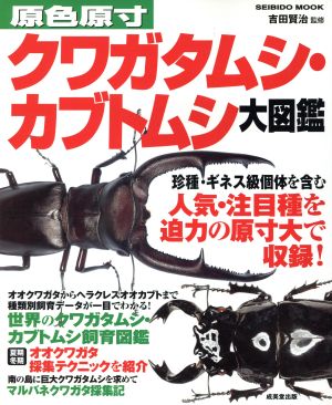 原色原寸クワガタムシ・カブトムシ大図鑑