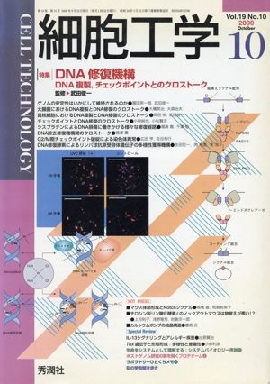 細胞工学 19-10
