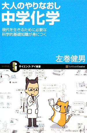 大人のやりなおし中学化学 現代を生きるために必要な科学的基礎知識が身につく サイエンス・アイ新書