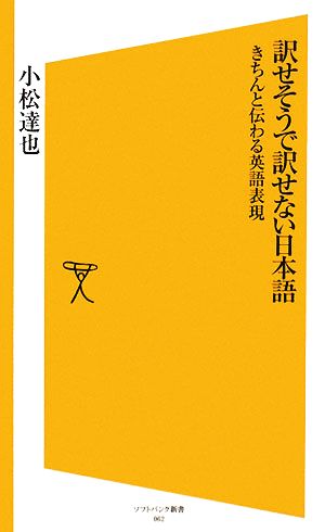 訳せそうで訳せない日本語 きちんと伝わる英語表現 SB新書