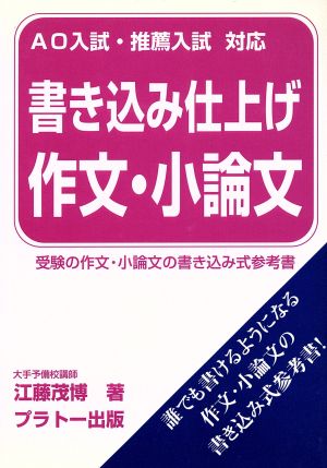 AO入試・推薦入試対応 書き込み仕上げ 作文・小論文