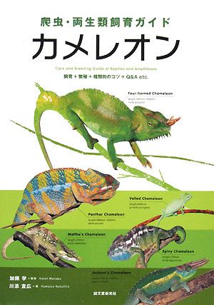 爬虫・両生類飼育ガイド カメレオン飼育+繁殖+種類別のコツ+Q&A etc.