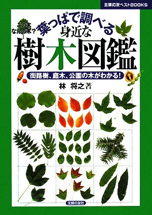 葉っぱで調べる身近な樹木図鑑 街路樹、庭木、公園の木がわかる！ 主婦の友ベストBOOKS