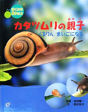 ぼくたち親子だよ カタツムリの親子 くるりん まいごになる