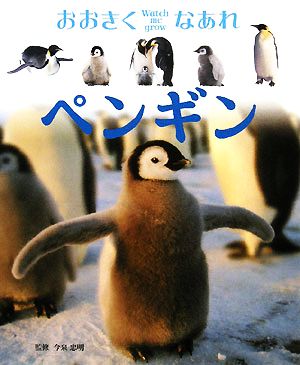 ペンギン Watch me growおおきくなあれ10