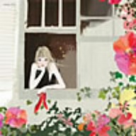 星からのメッセージ2008～恋をしているあなたに