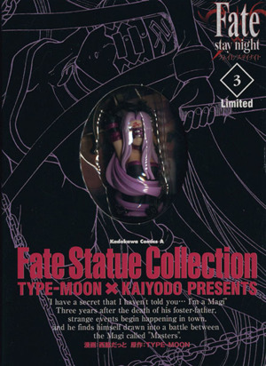 Fate/stay night(初回限定版)(3)リミテッド角川Cエース