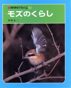 モズのくらし 科学のアルバム