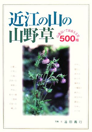 近江の山の山野草 山道沿いで出会える花500種