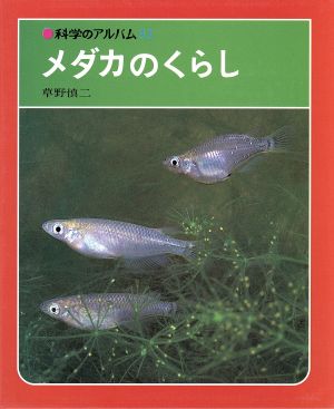 科学のアルバム・動物編 全20巻