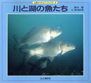 川と湖の魚たち