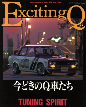 ExcitingQ AUTOWORKS SPECIAL EDITION マイルドムック90