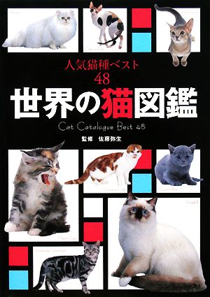 世界の猫図鑑人気猫種ベスト48