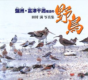 盤洲・富津干潟周辺の野鳥 田村満写真集