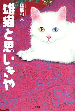 雄猫と思いきや