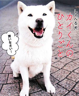 しゃべる犬カイくんのひとりごと