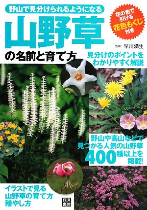 山野草の名前と育て方 野山で見分けられるようになる