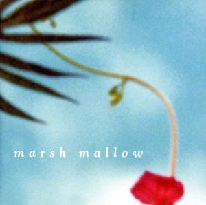 marsh mallow