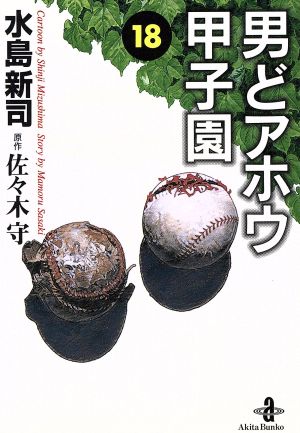 男どアホウ甲子園(文庫版)(18) 秋田文庫