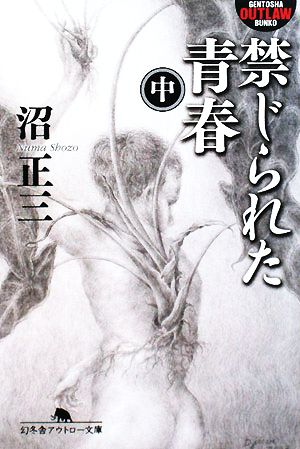 禁じられた青春(中) 幻冬舎アウトロー文庫