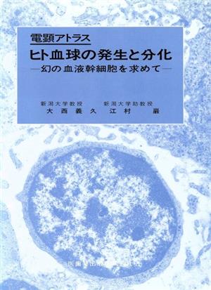 電顕アトラス ヒト血球の発生と分化