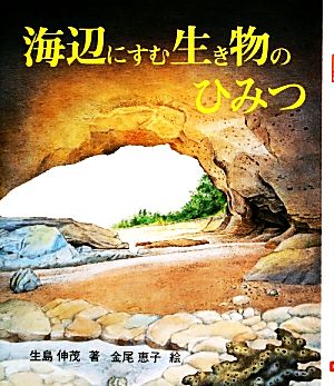 海辺にすむ生き物のひみつ 文研科学の読み物