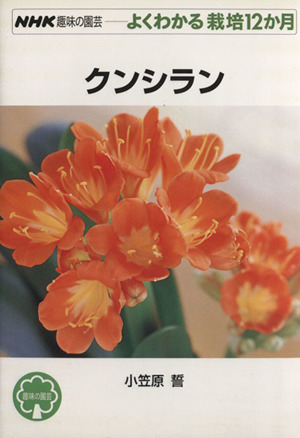 趣味の園芸 クンシラン よくわかる栽培12か月 NHK趣味の園芸