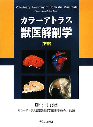 カラーアトラス獣医解剖学(下巻)