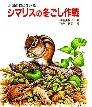 シマリスの冬ごし作戦 北国の森に生きる 文研科学の読み物