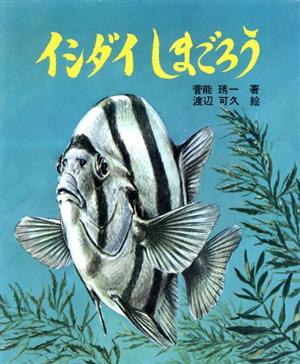 イシダイのしまごろう 改版 文研科学の読み物