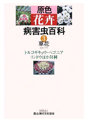 原色花卉病害虫百科(3) 草花3トルコギキョウ、ベゴニア、リンドウほか31種