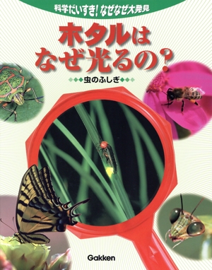 ホタルはなぜ光るの？