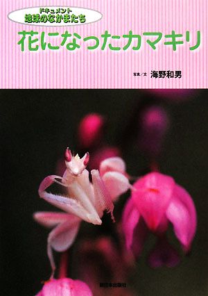 花になったカマキリ ドキュメント地球のなかまたち