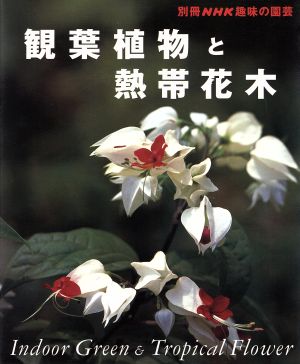 趣味の園芸別冊 観葉植物と熱帯花木 別冊NHK趣味の園芸