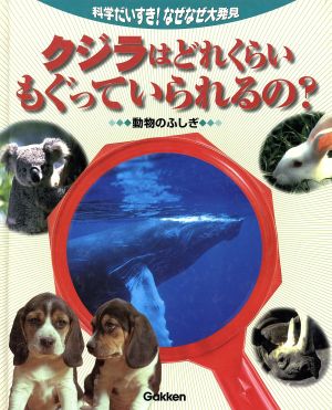 クジラはどれくらいもぐっていられるの？