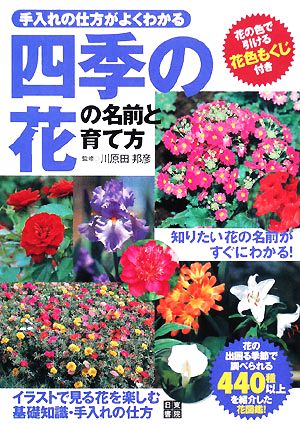 四季の花の名前と育て方 手入れの仕方がよくわかる