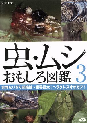 虫・ムシ おもしろ図鑑 3 世界なりきり超絶技～世界最大！ヘラクレスオオカブト