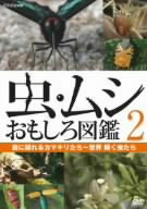 虫・ムシ おもしろ図鑑 2 森に隠れるカマキリたち～世界 輝く虫たち