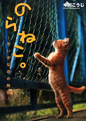 のらねこ。 ちいさな命の物語