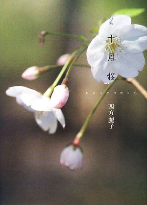 句集 十月桜