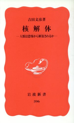 核解体 人類は恐怖から解放されるか 岩波新書396