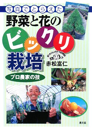 写真でとらえた野菜と花のビックリ栽培 プロ農家の技