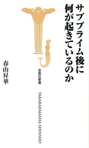 サブプライム後に何が起きているのか 宝島社新書