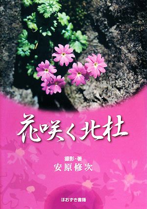 花咲く北杜