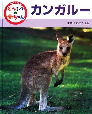 くらべてみよう！どうぶつの赤ちゃん(7) カンガルー