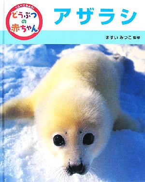 くらべてみよう！どうぶつの赤ちゃん(9) アザラシ